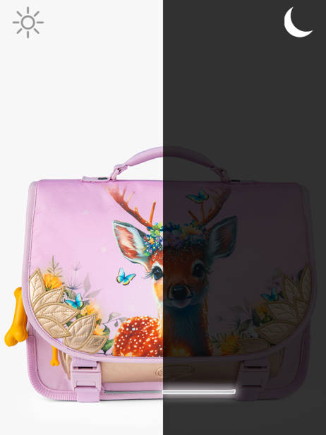 Boekentas 2 Compartimenten Stones and bones Roze girls G ander zicht 5